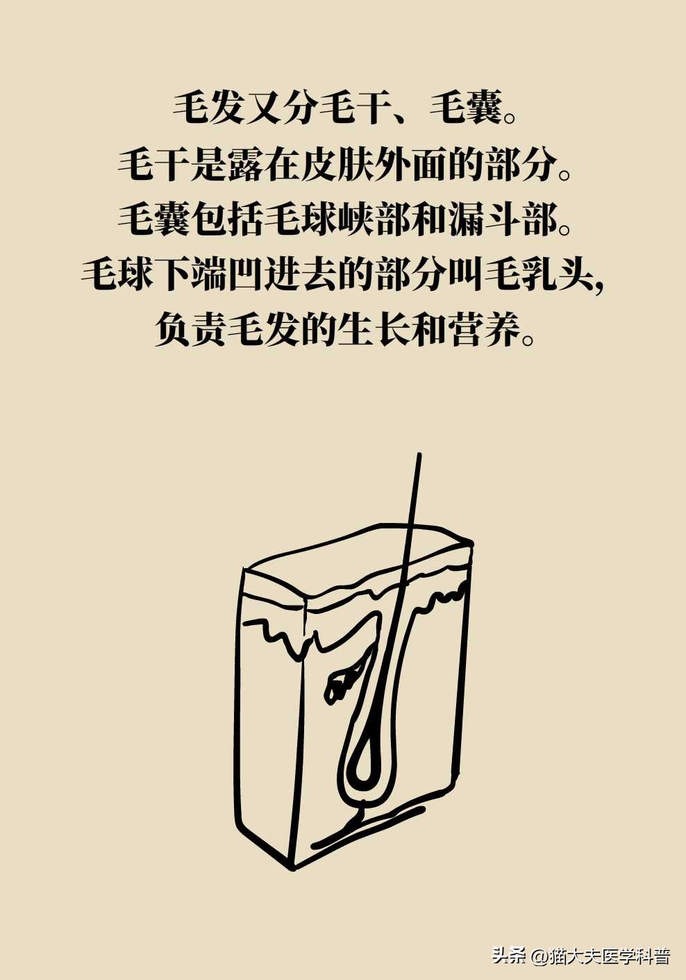 opt激光脱毛是永久的吗,激光男士脱毛永久简单方法