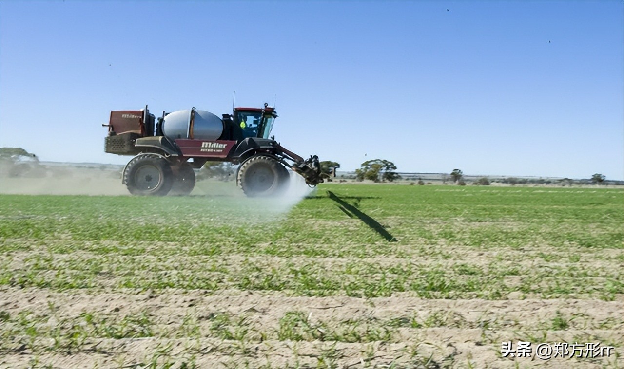 耕地抛荒依旧领取农业补贴案例,取消农业补贴
