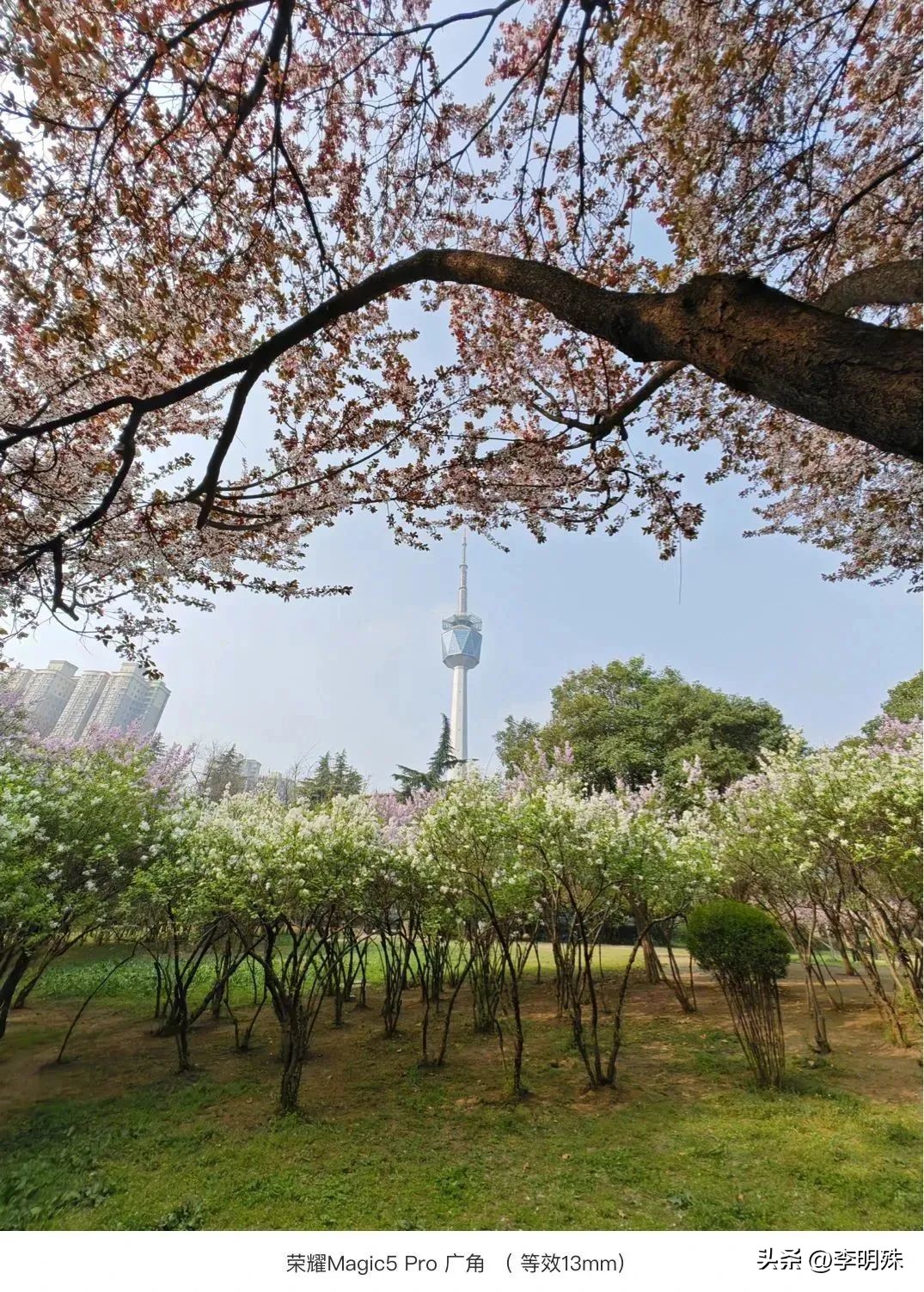 荣耀magic5pro和magic6pro拍照,荣耀magic5pro拍照