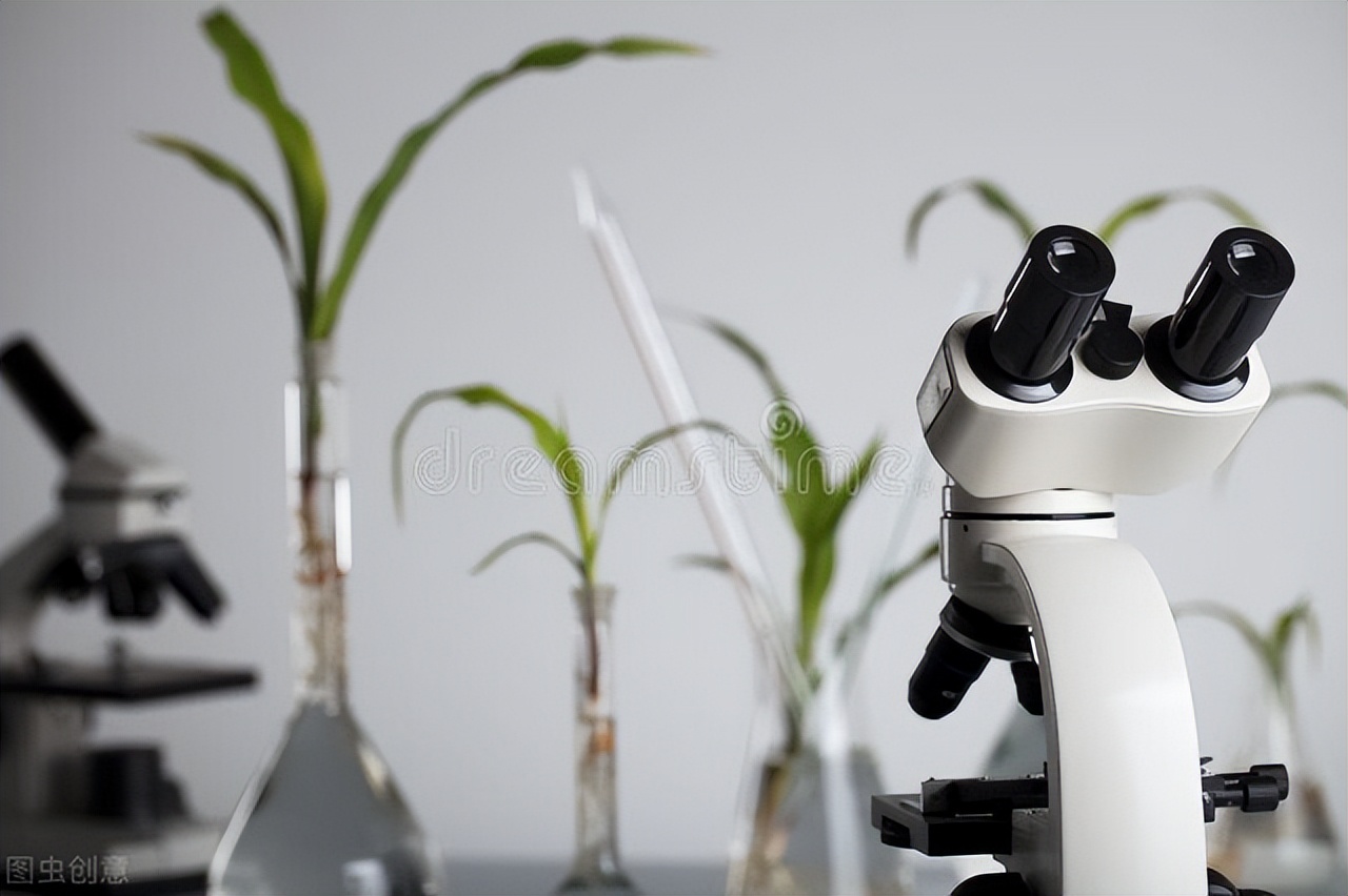 全球十大最顶尖的生物制药巨头,世界十大顶尖科技国家排名