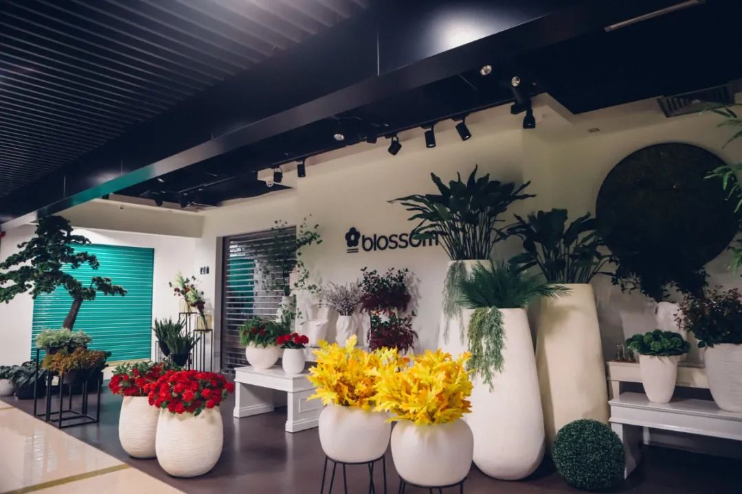 罗湖好玩拍照打卡地方推荐,罗湖游玩地点打卡攻略