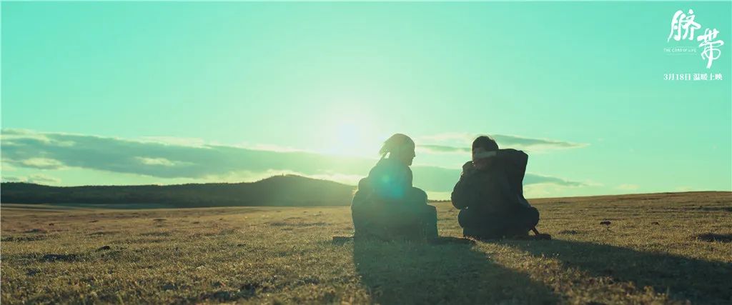 风骚律师还会有第七季吗,风骚律师之后还会出新剧吗