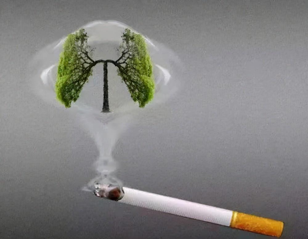 这7种香烟或被列入“黑名单”,5种香烟已经被列入“黑名单”