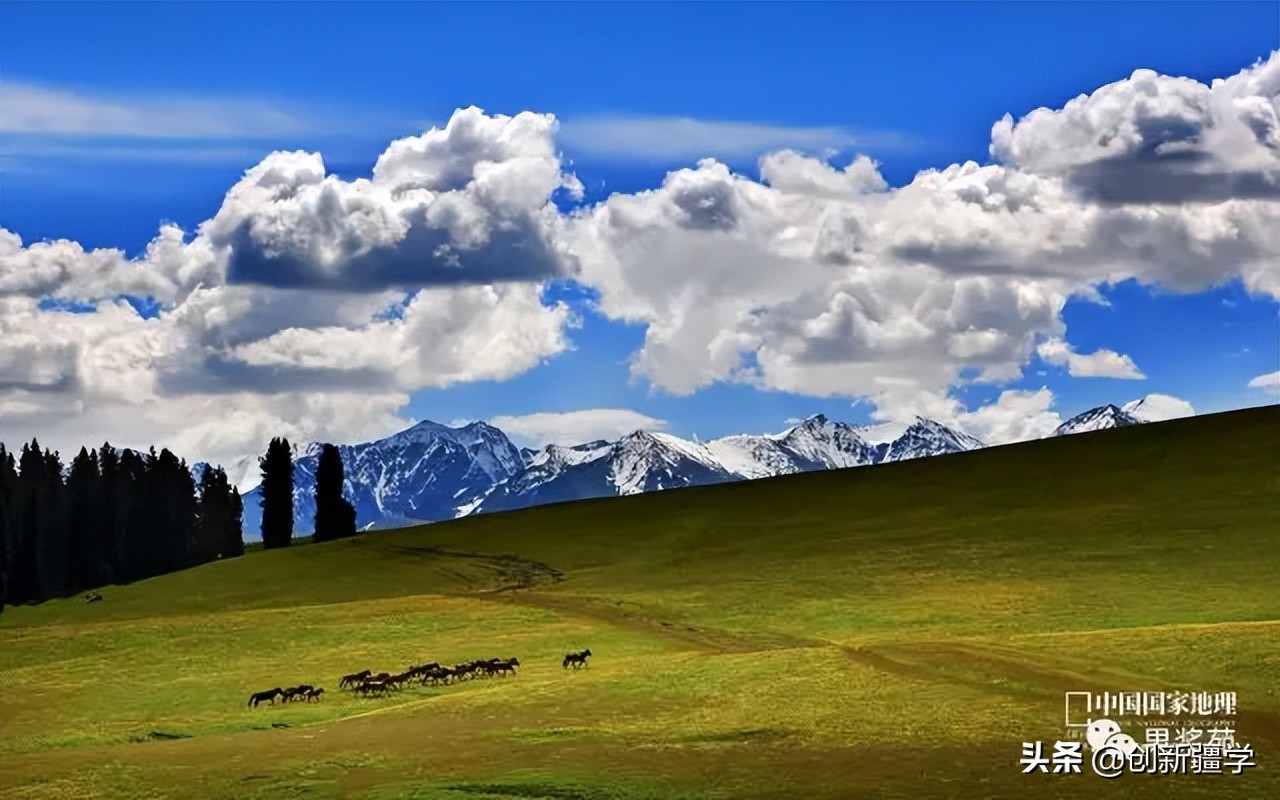 回鹘西迁后的西域文明与居民身份变化