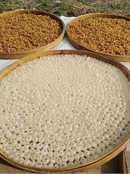 *白县博**塑桂圆肉品牌助推乡村振兴