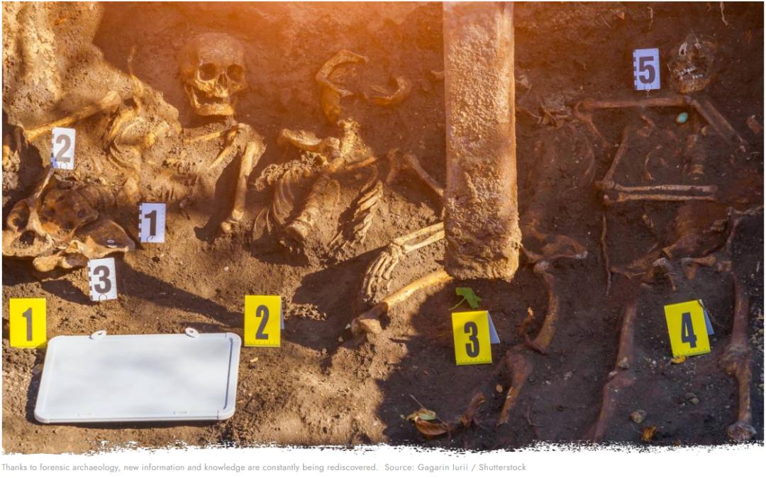 考古学真的没有未来吗,考古学到底有没有前途