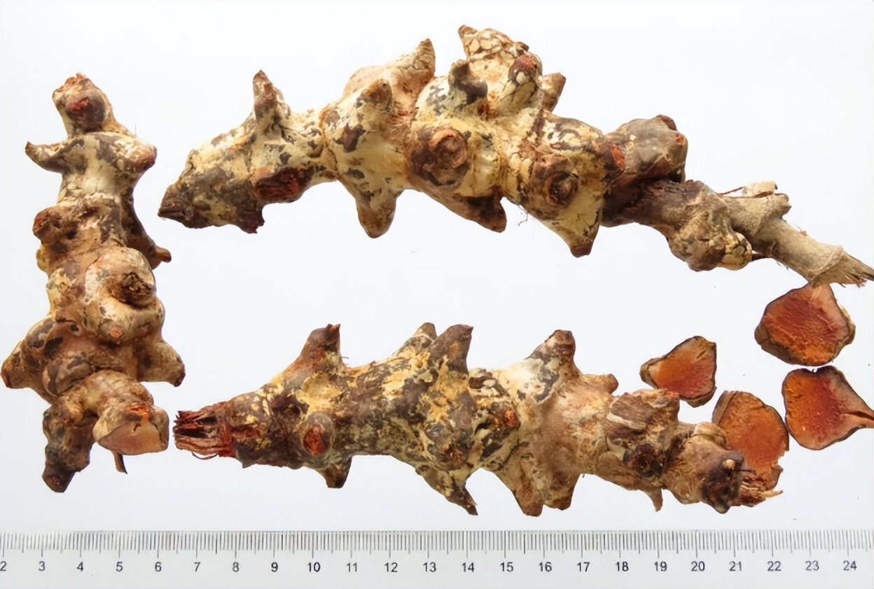 菝葜和金刚藤区别,菝葜金刚藤