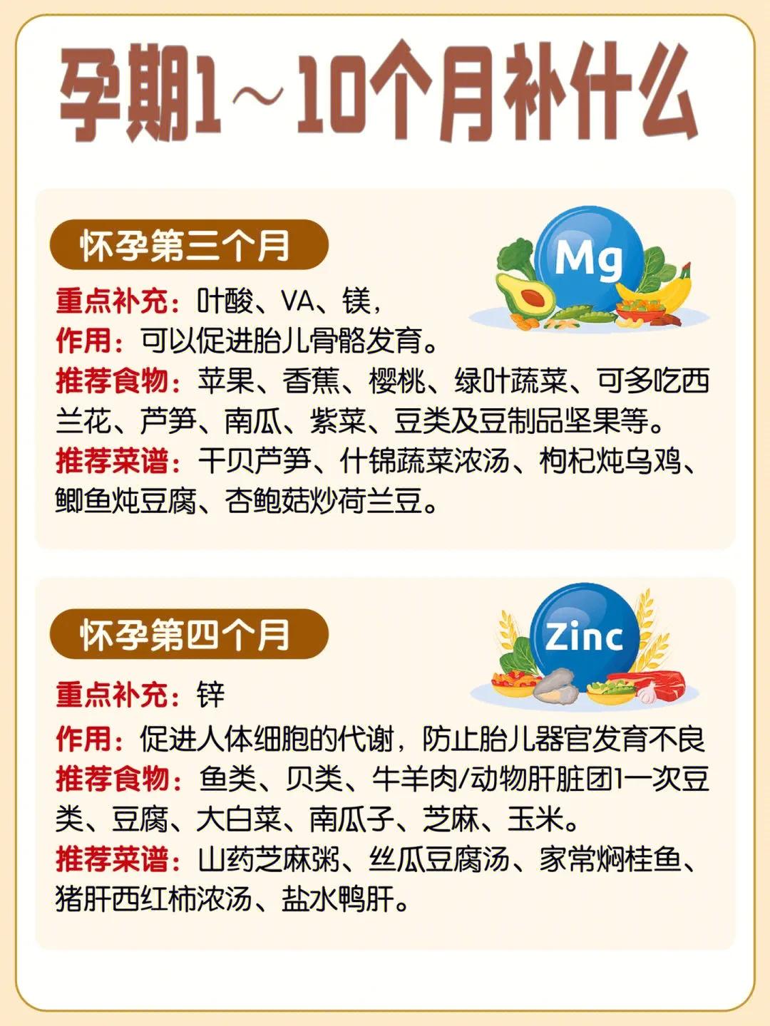 孕期1～10月补什么？哪些食物不能吃？准妈妈们看过来