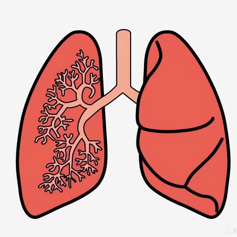 肺气肿如何食疗,中医肺气肿治疗最佳方法