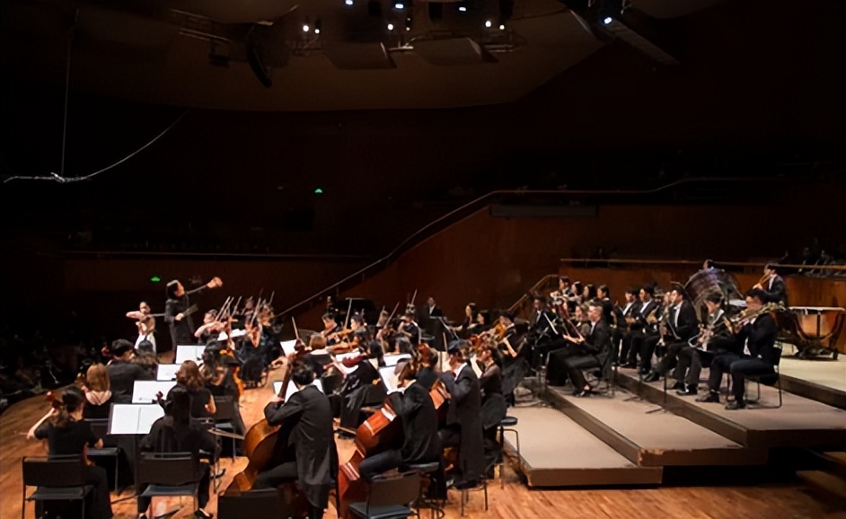 肖邦的风格把握,肖邦曲式分析报告怎么写