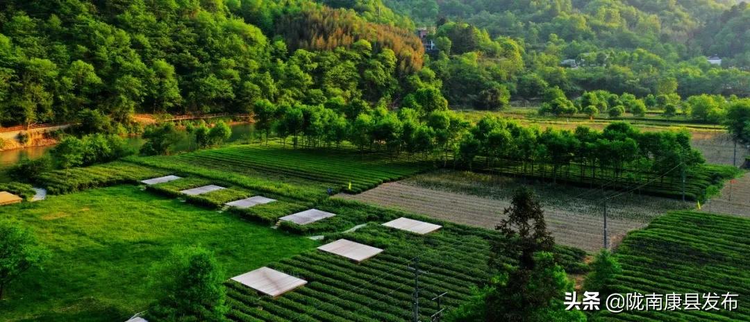 康养旅居风景区,康县康养小镇