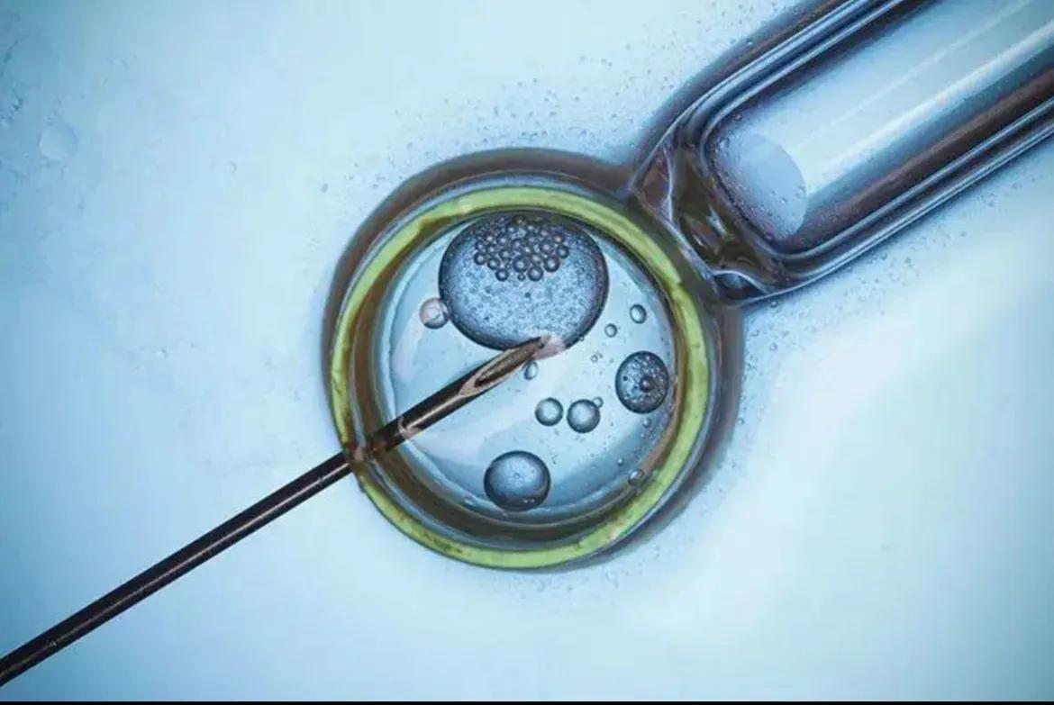 一次5万，刺穿*体下**：学历越高，长得越漂亮，价格越高