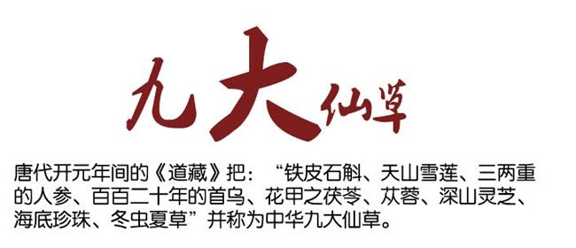 野生新鲜石斛图片,纯野生石斛多少一克