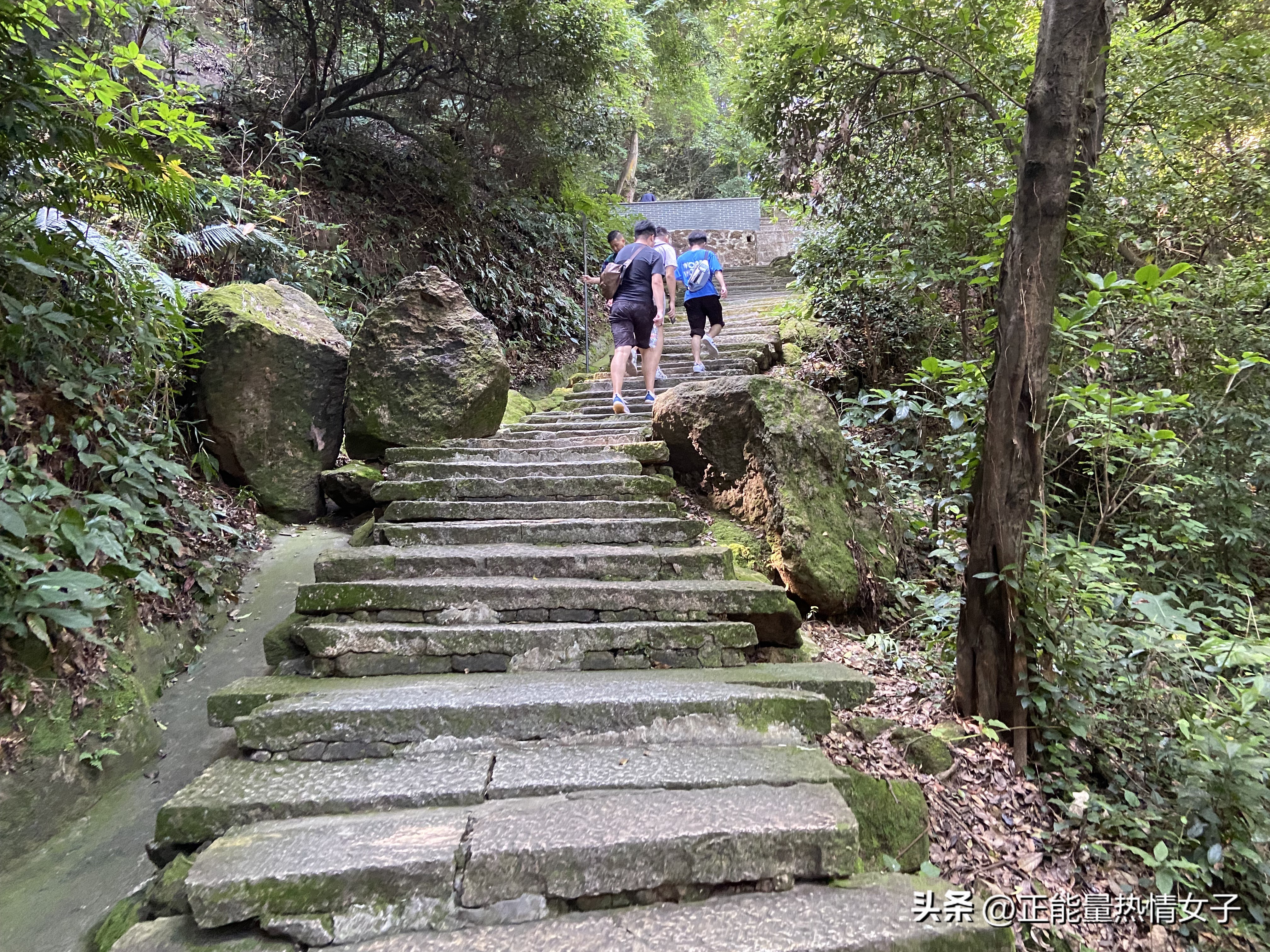 黄飞鸿故乡西樵,祖庙游玩攻略黄飞鸿