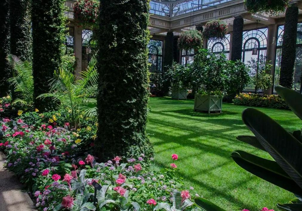 罗马帝国的起源和发展,罗马共和国经历