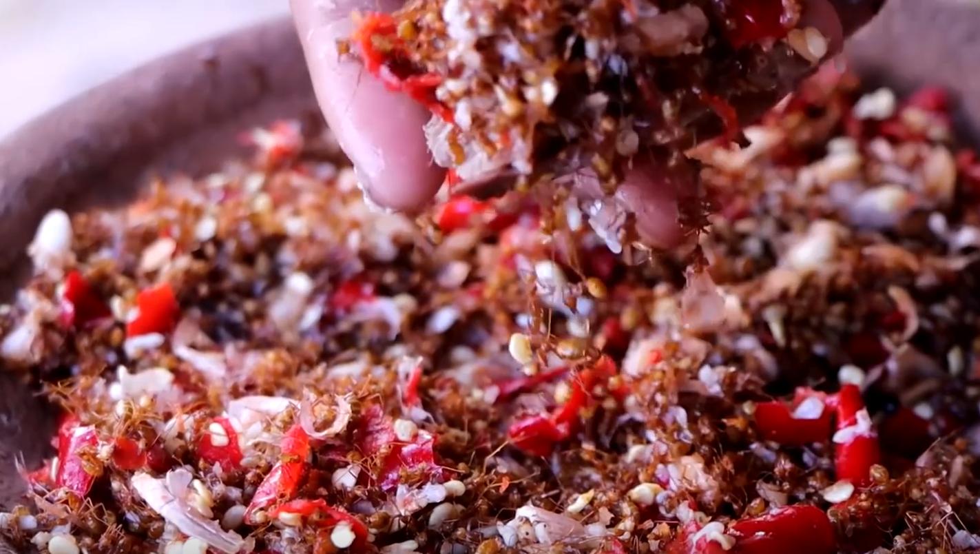 泰国蚂蚁大餐,泰国蚂蚁蛋的吃法