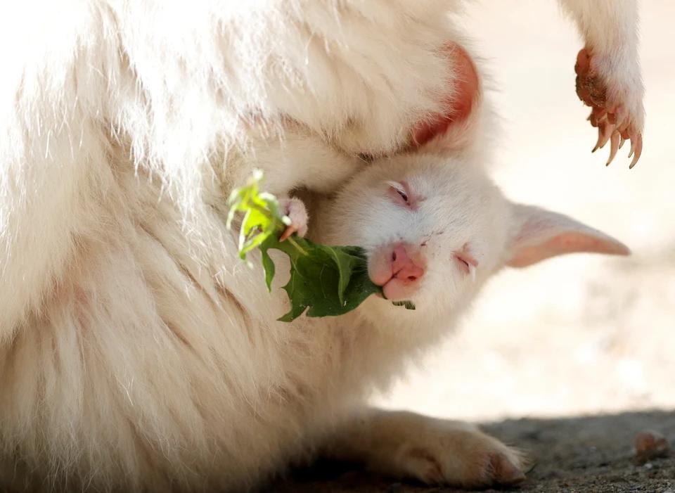 每日一图2019.7.16图片,每日一图2019