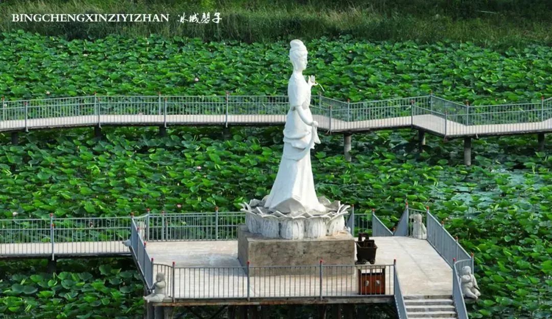 湿地可以开发什么旅游项目,黑龙江旅游必去十大湿地排名