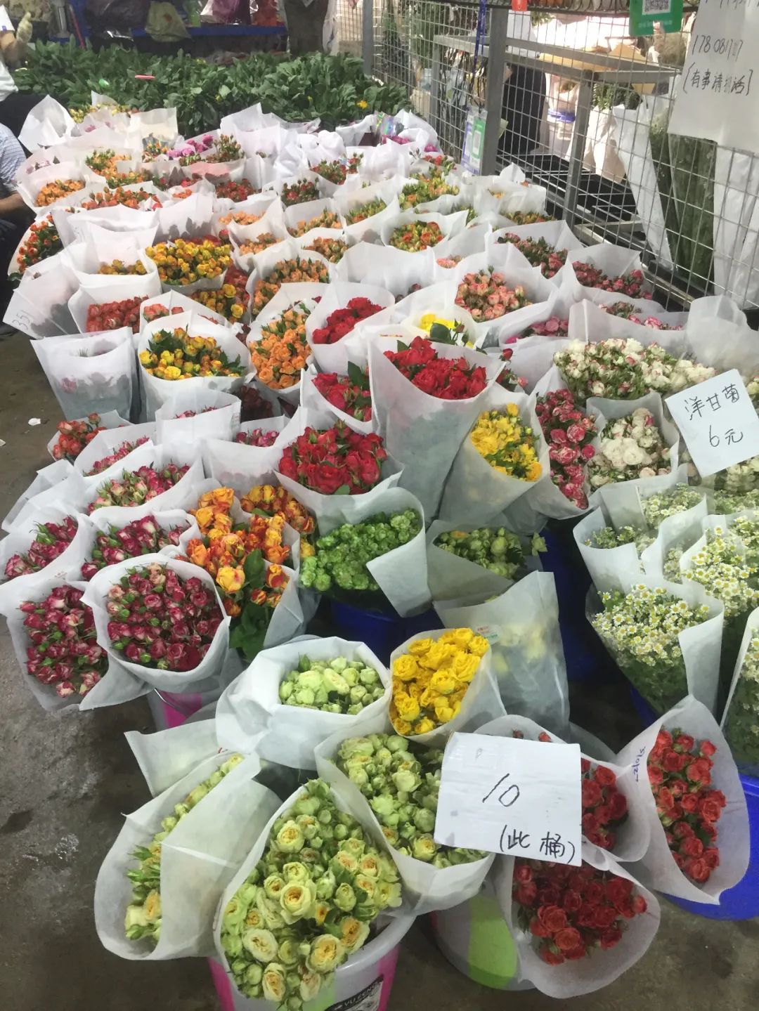 收什么废品能月入过万,兼职捡废品一个月能挣多少