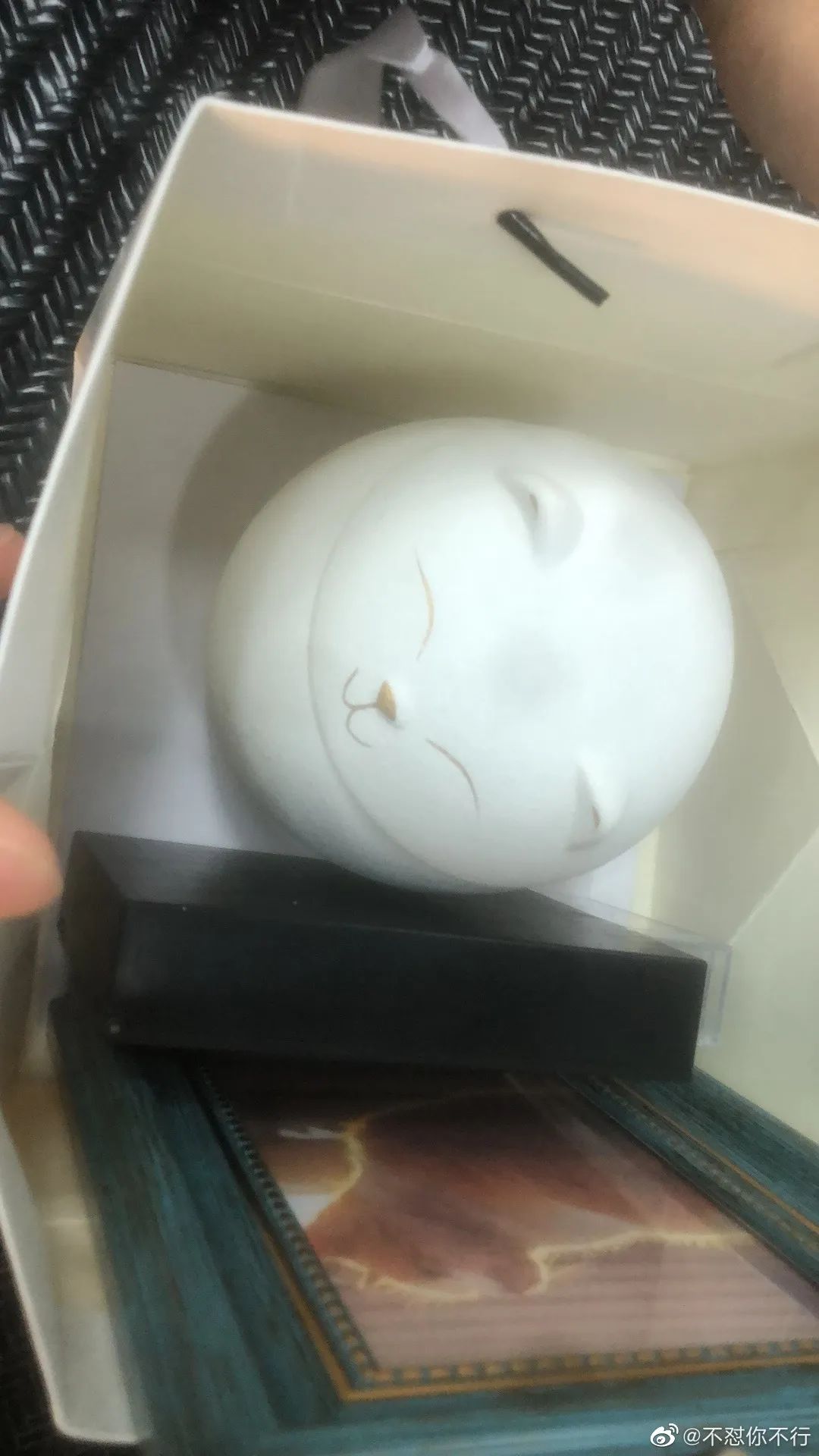 东北财经大学发讣告,东北财经大学为猫发讣告