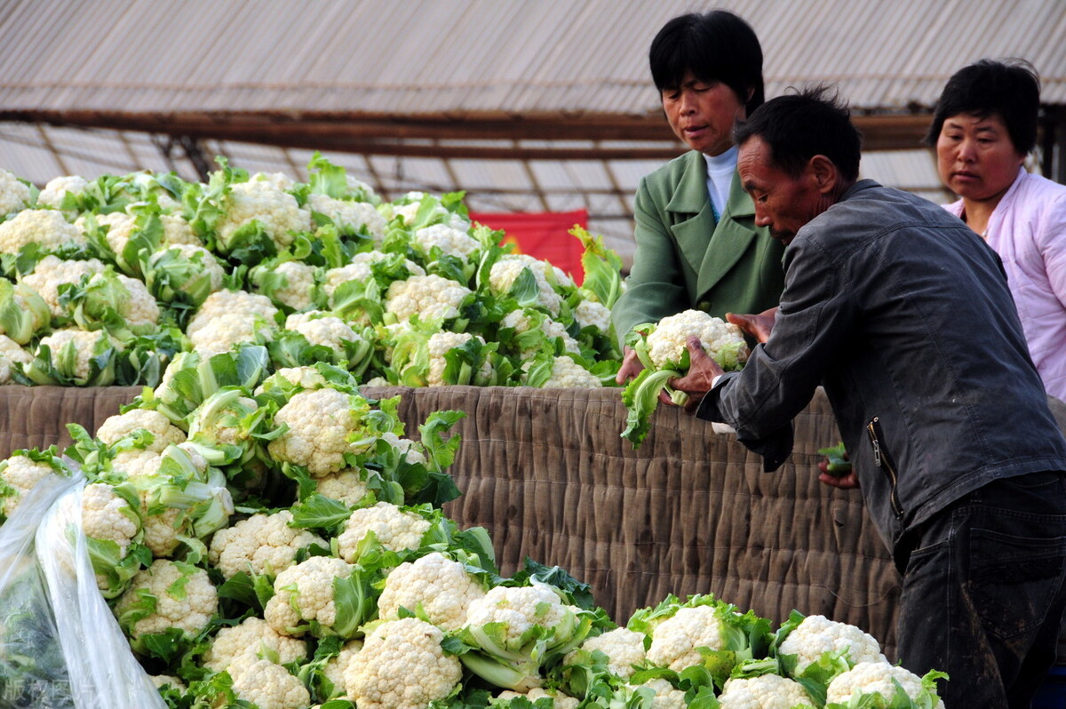 山东临沂市郯城县二胡生产基地,山东省临沂市郯城县县城