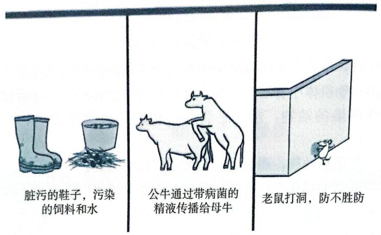 动物传染病主要内容,动物传染病介绍