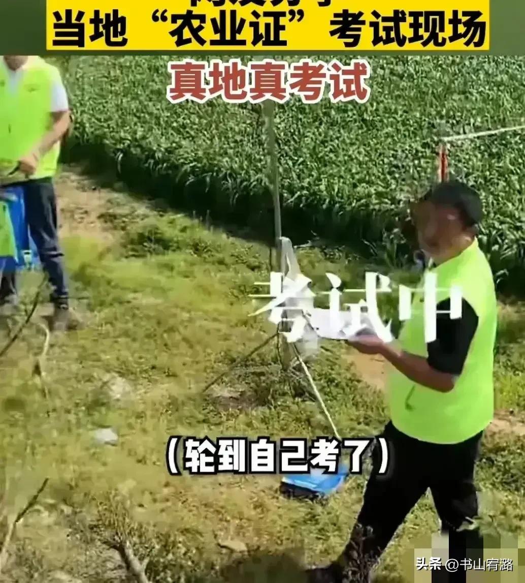 农民种地怎么考取资格证,农民种地需要考种地技术证