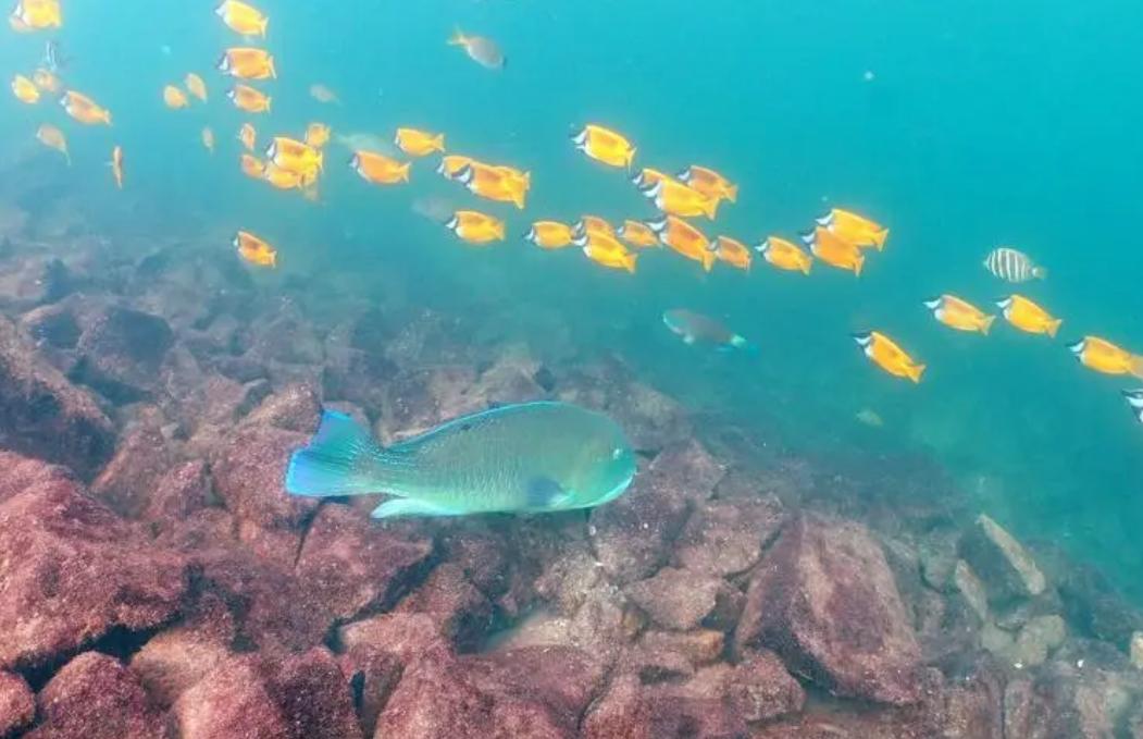 东北小伙一亿买石头,东北小伙花两亿买石头现状