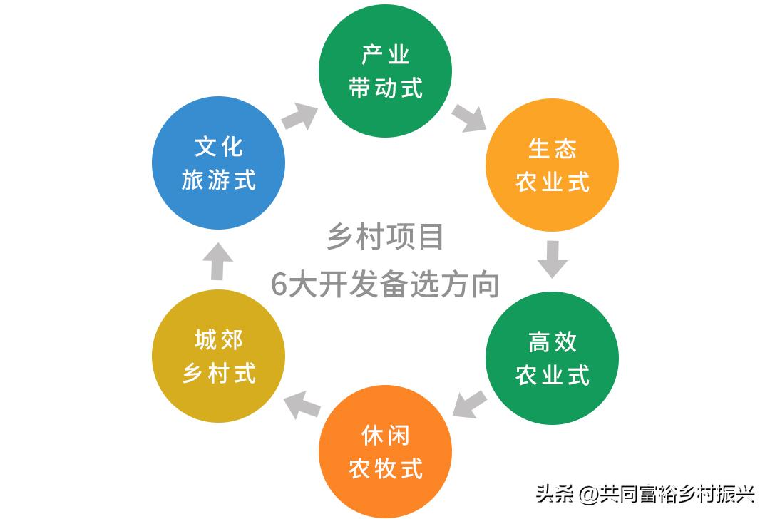 乡村振兴项目招标流程,乡村振兴集体产业项目收益流程