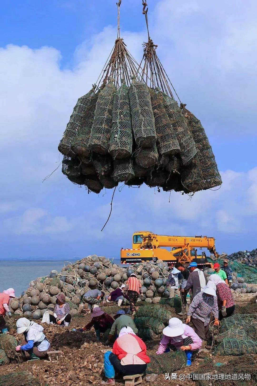 中国第一海鲜大省,中国第一海鲜怎么样