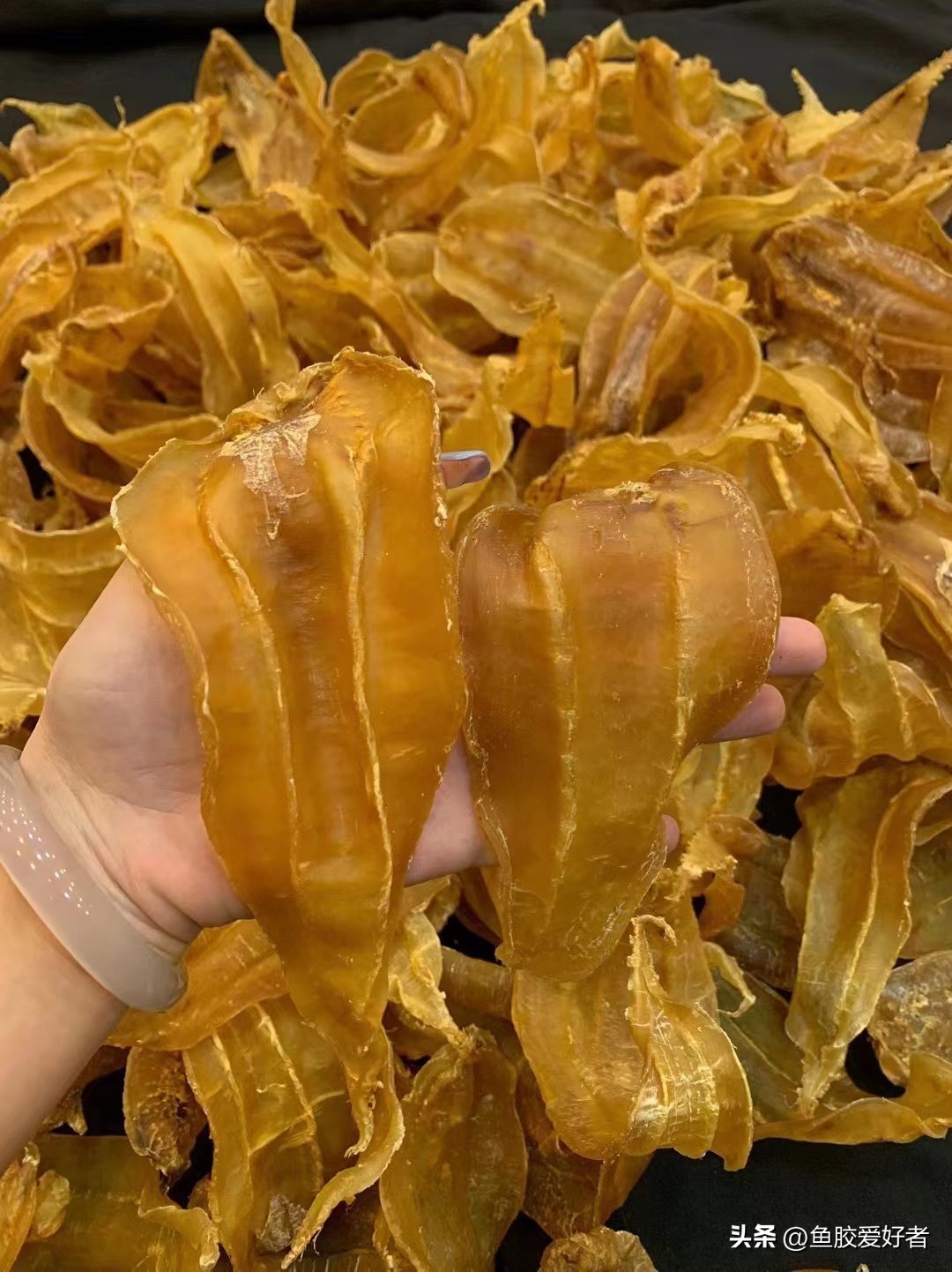 广东的鱼胶是不是智商税,吃鱼胶是交智商税吗