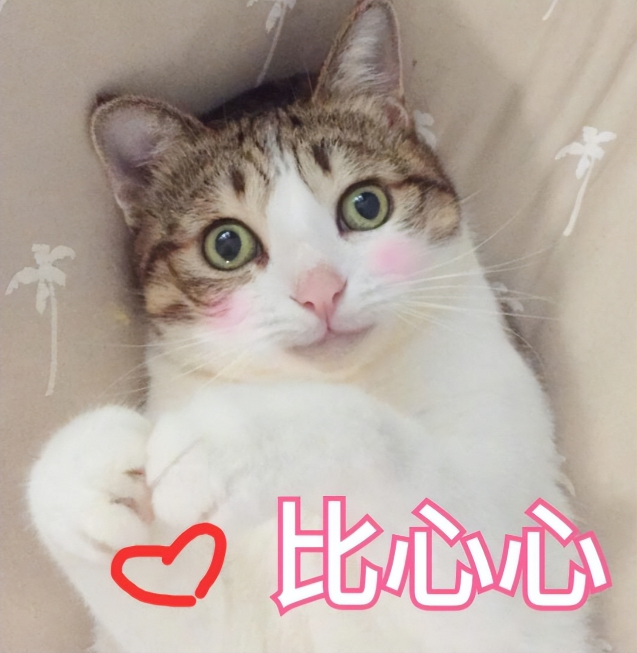 怎么选择高清电视品牌,电视品牌推荐哪款