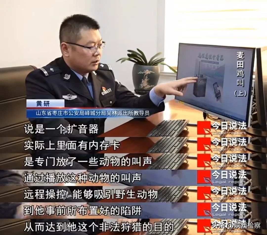 非法弹弓狩猎案,弹弓非法狩猎案视频