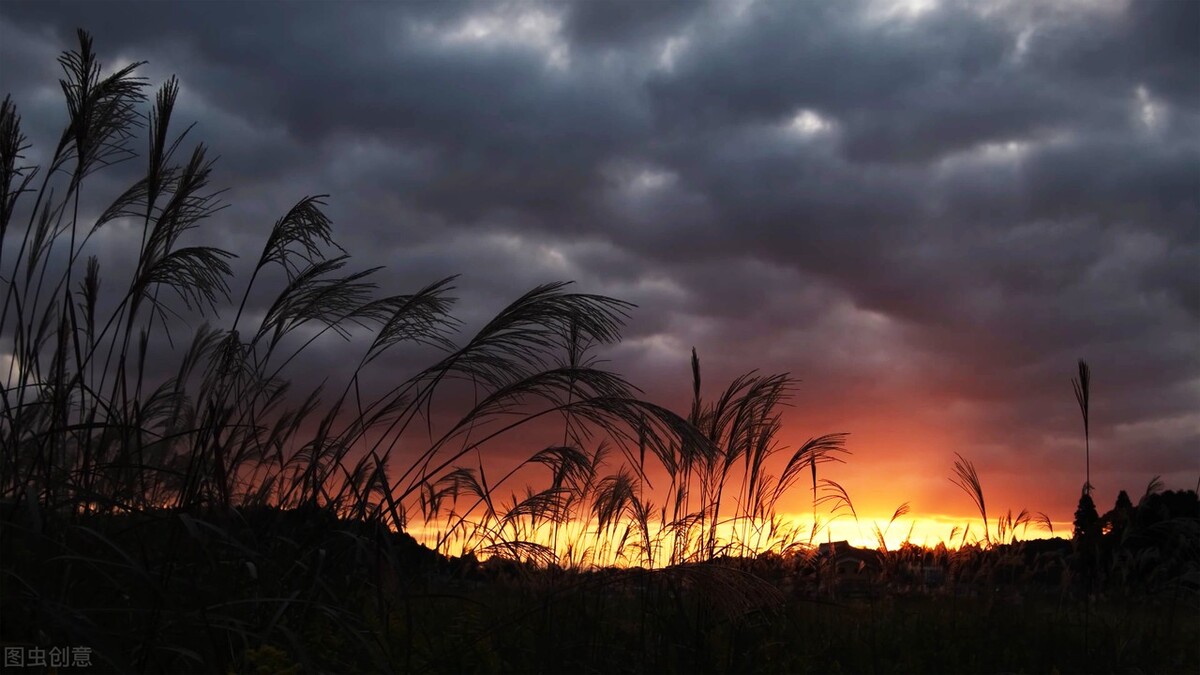小便黄睾丸潮湿吃什么药,肝郁湿热下注尿浑浊
