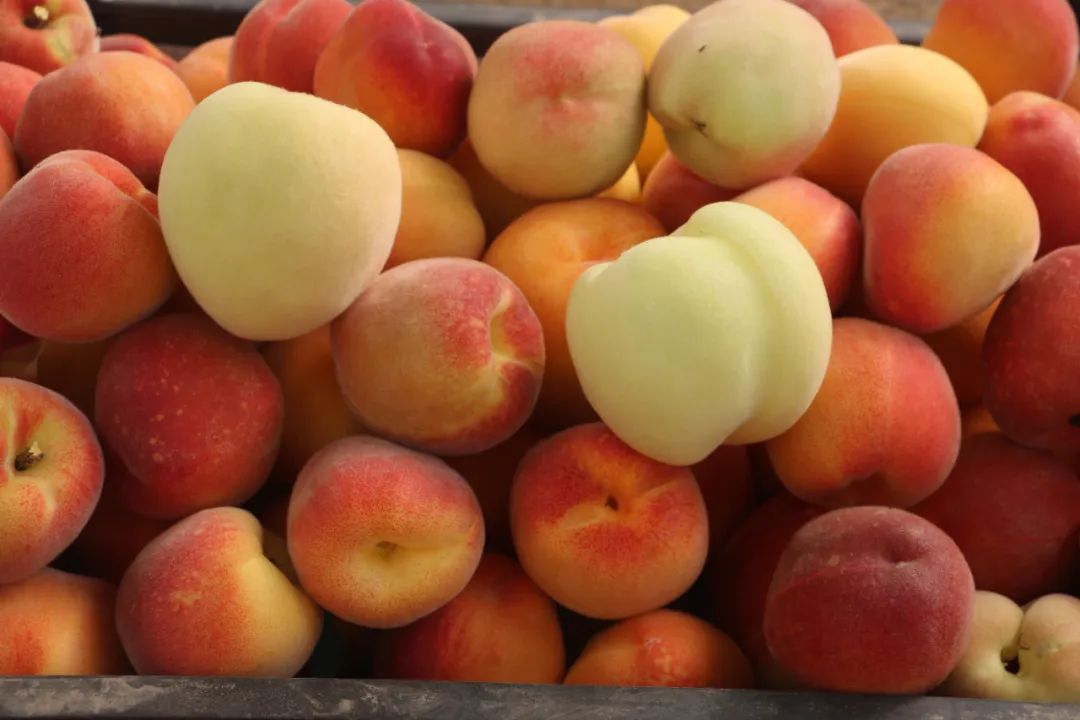 休闲农业和乡村旅游线路图,休闲农业旅游线路推荐