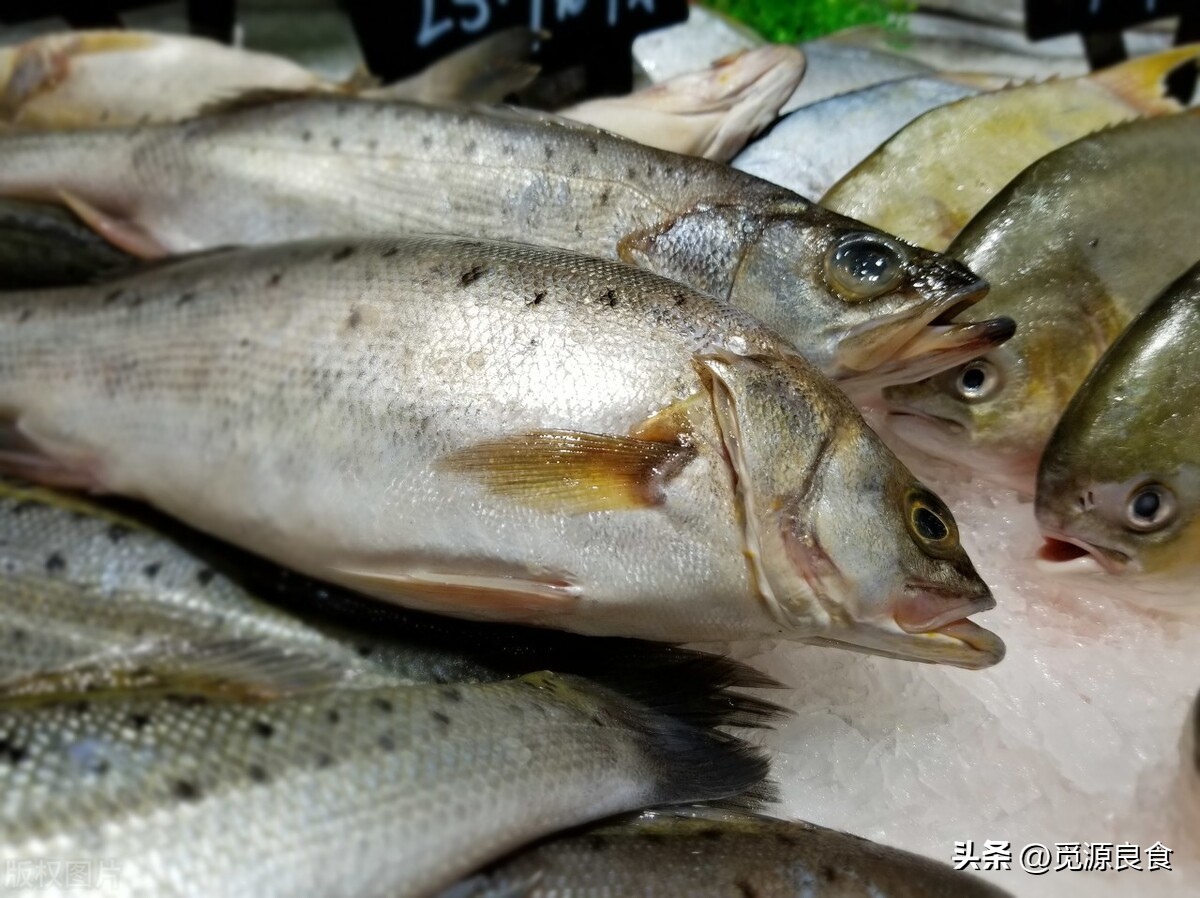 买鲈鱼怎么选,买鲈鱼开背的好还是整条的好