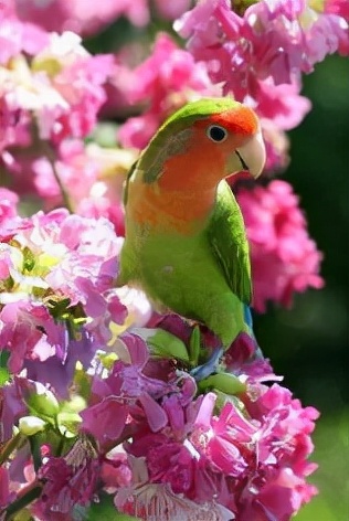 怎么起名字好听不易重名,如何起一个好名字视频