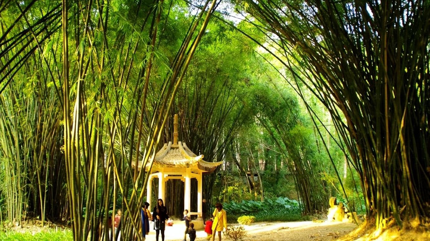 福建省福州市几个区,中国34个省级行政区域教学视频