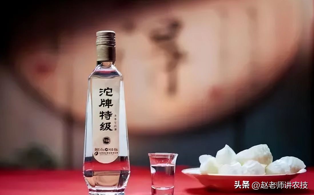 为什么不建议自己泡酒,怎么知道自己适合喝哪种泡酒
