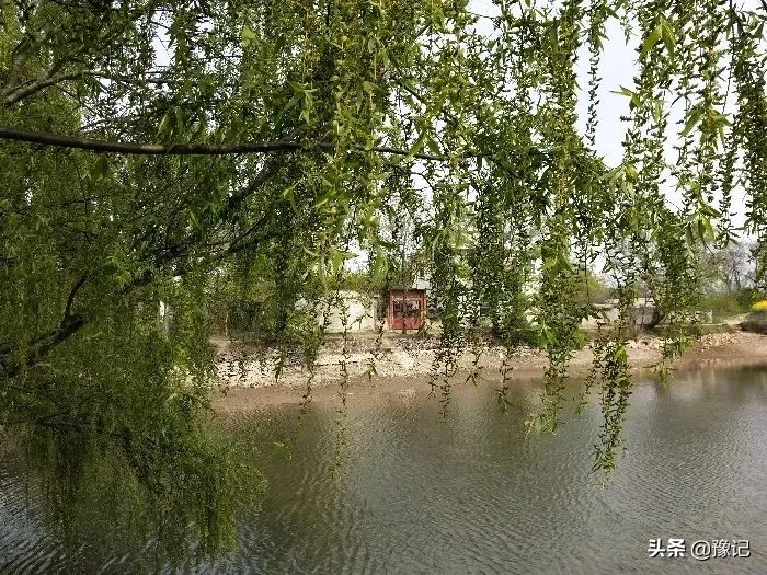 信阳人家家都有的tang，河南好多地方都没了