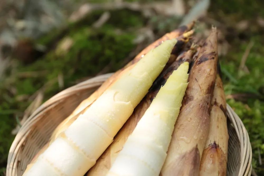 根除痔疮最好的办法，竟然是……（不是提肛