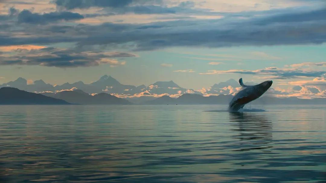 95后女孩过“穷酸”生活，不用卫生巾、一条裤子穿10年，好快乐