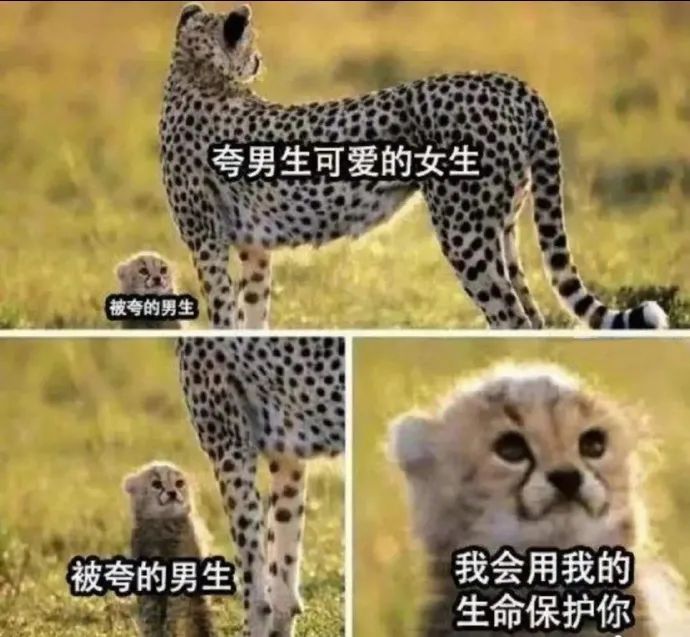 这摄影师是个抓拍鬼才|冷段子2068