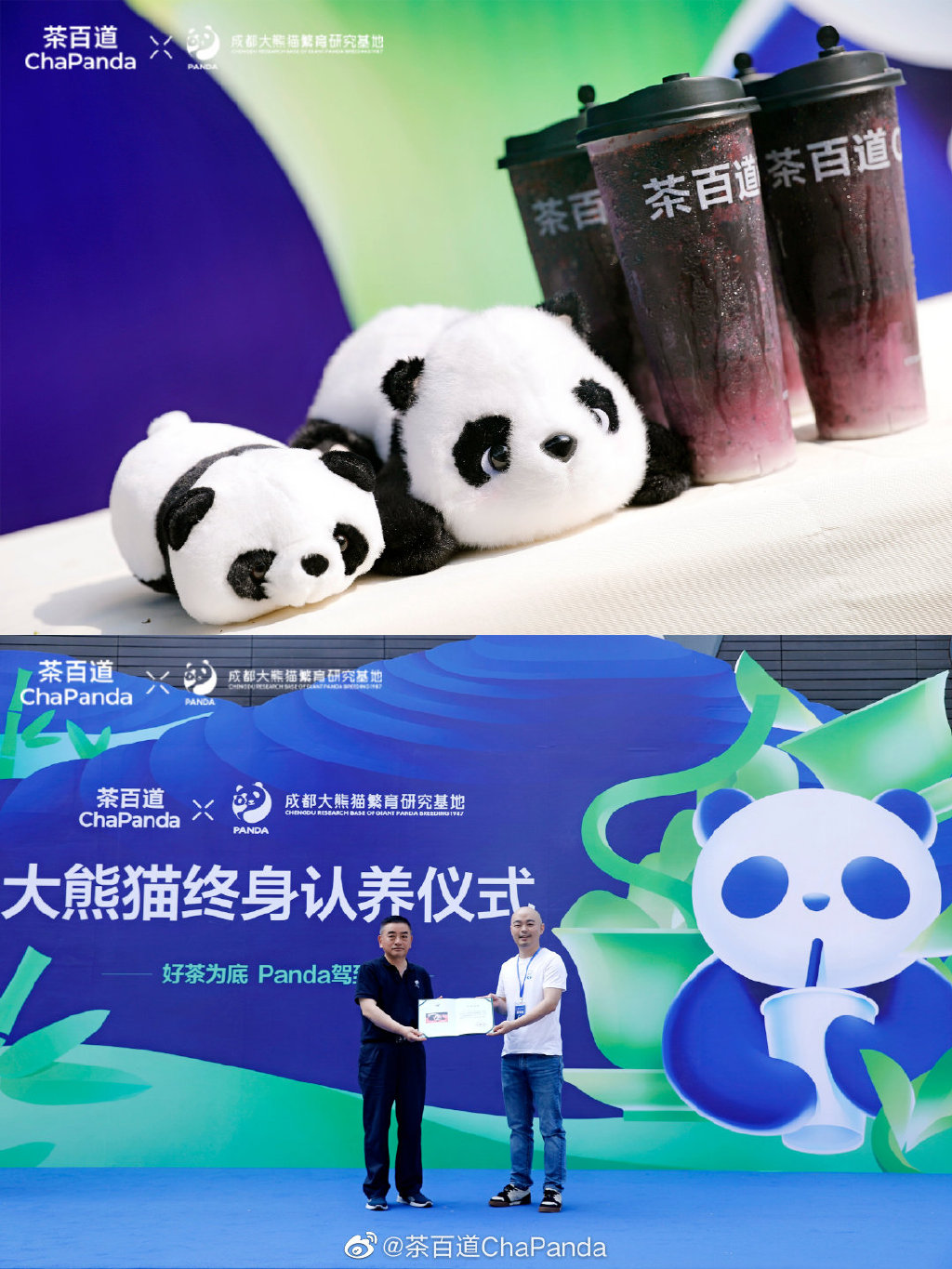 呆毛茶毅大师，自带黑天线WiFi的茶百道认养的奶茶小王子娇毅。