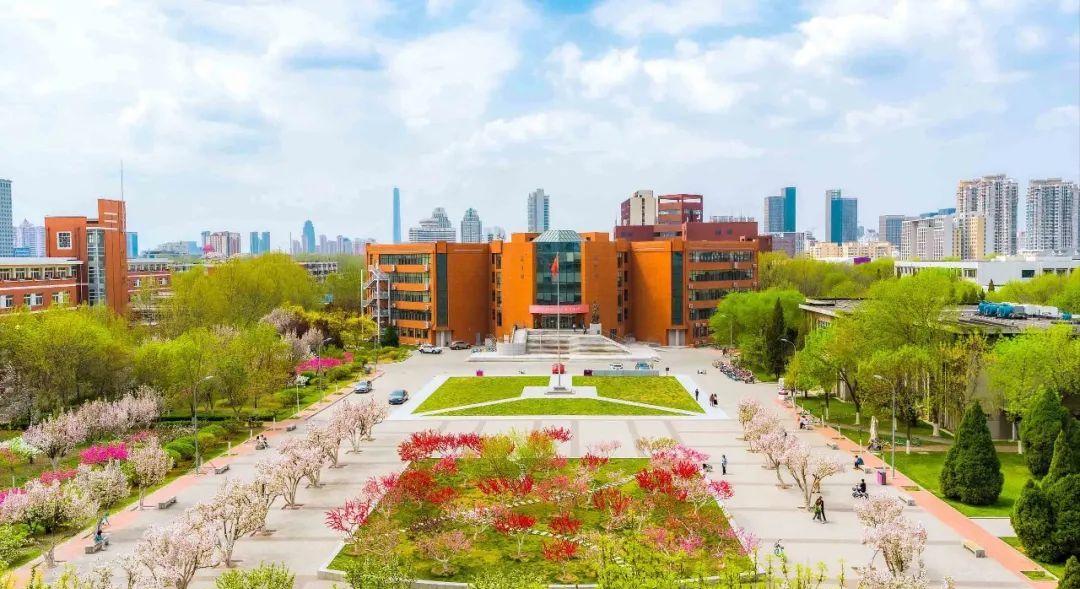 登上央视《焦点访谈》，获国务院表彰！这8位硬核记者，全来自南开大学！