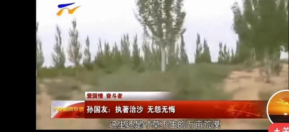 孙国友2019年是忽悠宁夏卫视记者，树根露出来了生态变好了！