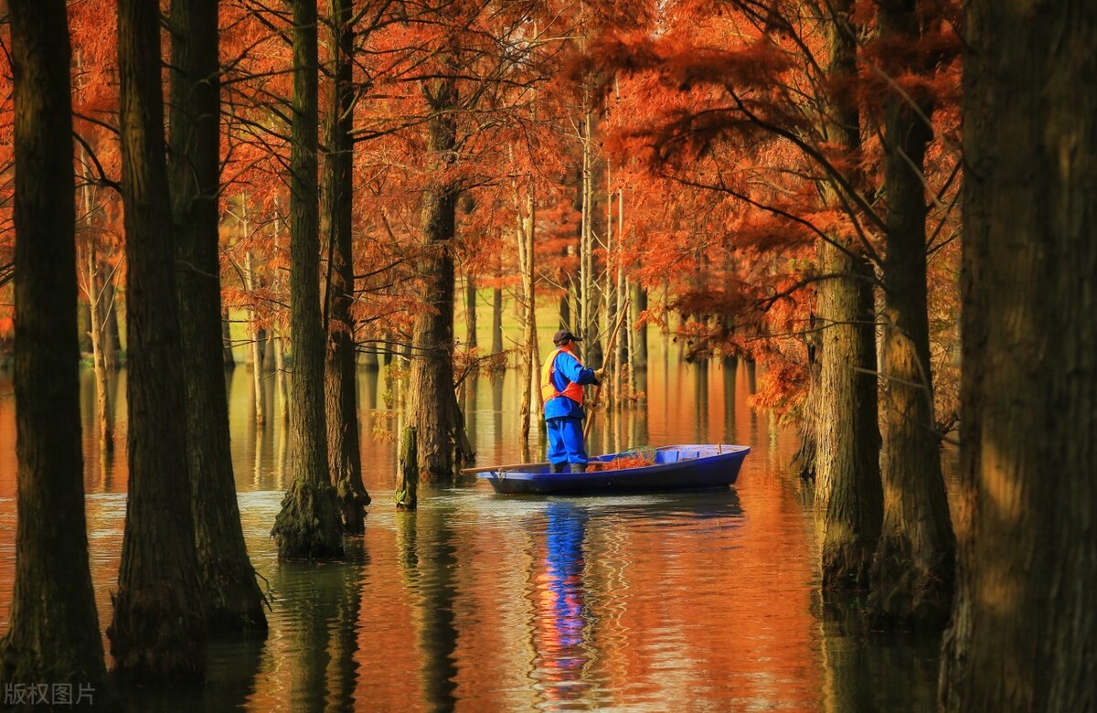 上海最新免费游玩景点推荐,上海旅游必去的五个免费景点