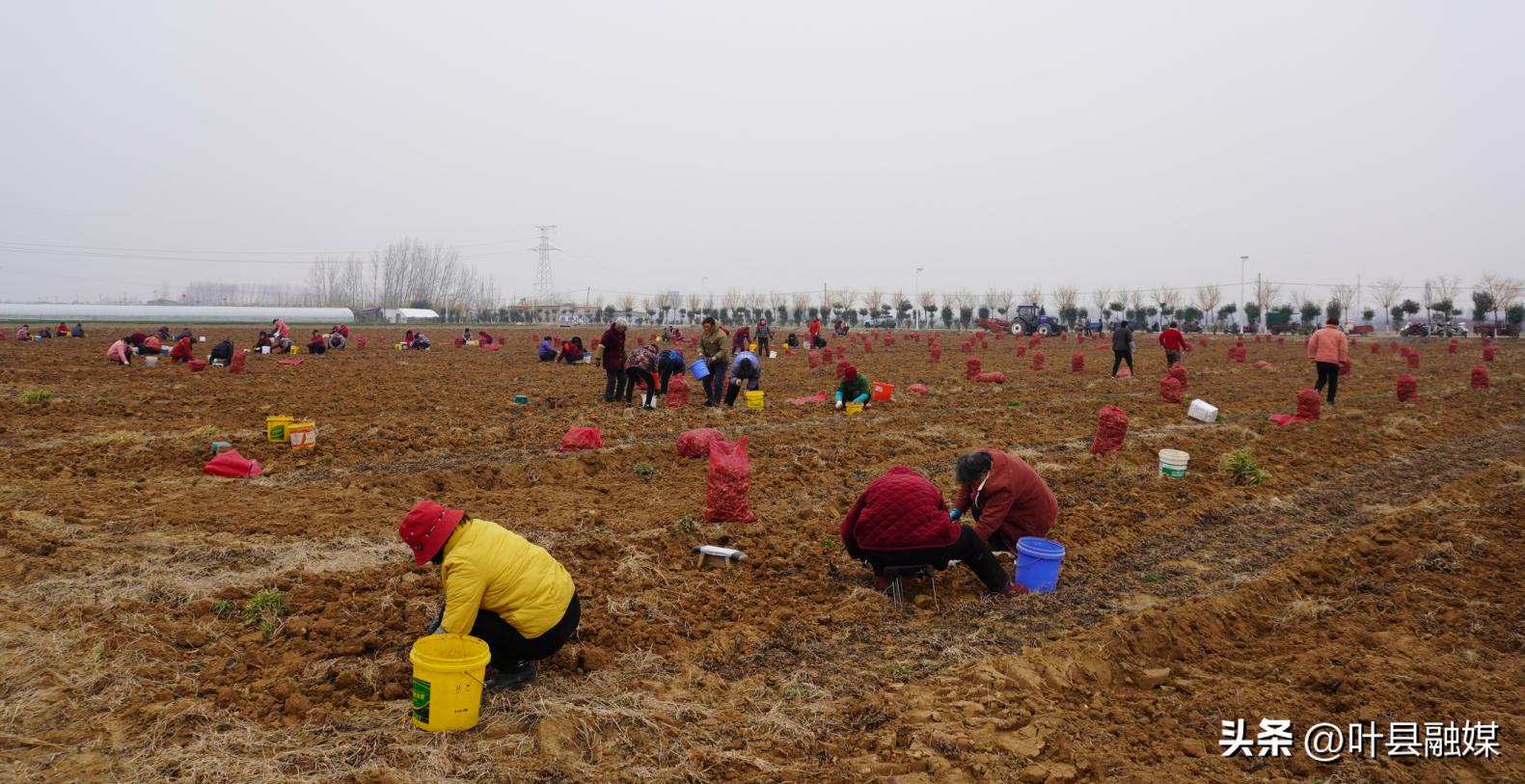 鑻﹁嵂鏉愯嚧瀵岃矾,骞抽《灞卞彾鍘块練搴椾埂鐢熸椿
