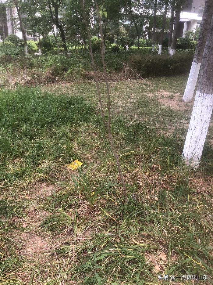 深圳万科物业业主真实感受,郑州万科物业业主真实感受