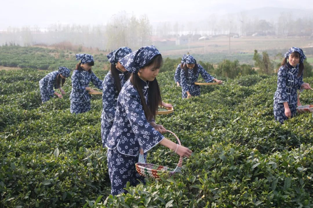 逛吃逛吃歌曲,逛吃逛吃